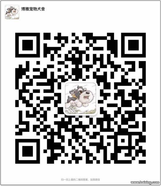 边境牧羊犬 边牧犬舍 专业繁育边牧 打完疫苗证书齐