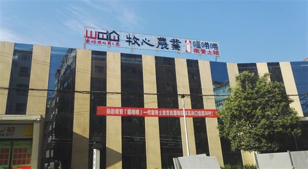 会计
